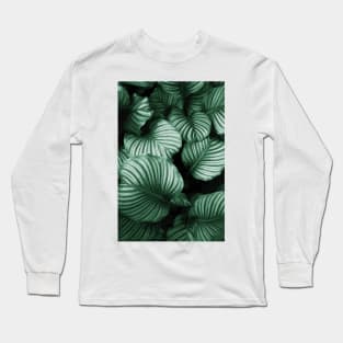 Tropical Lush Palm Leaves Long Sleeve T-Shirt